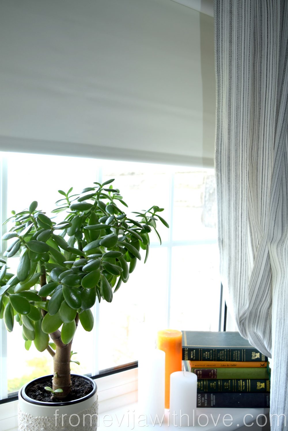 thermal-window-blind