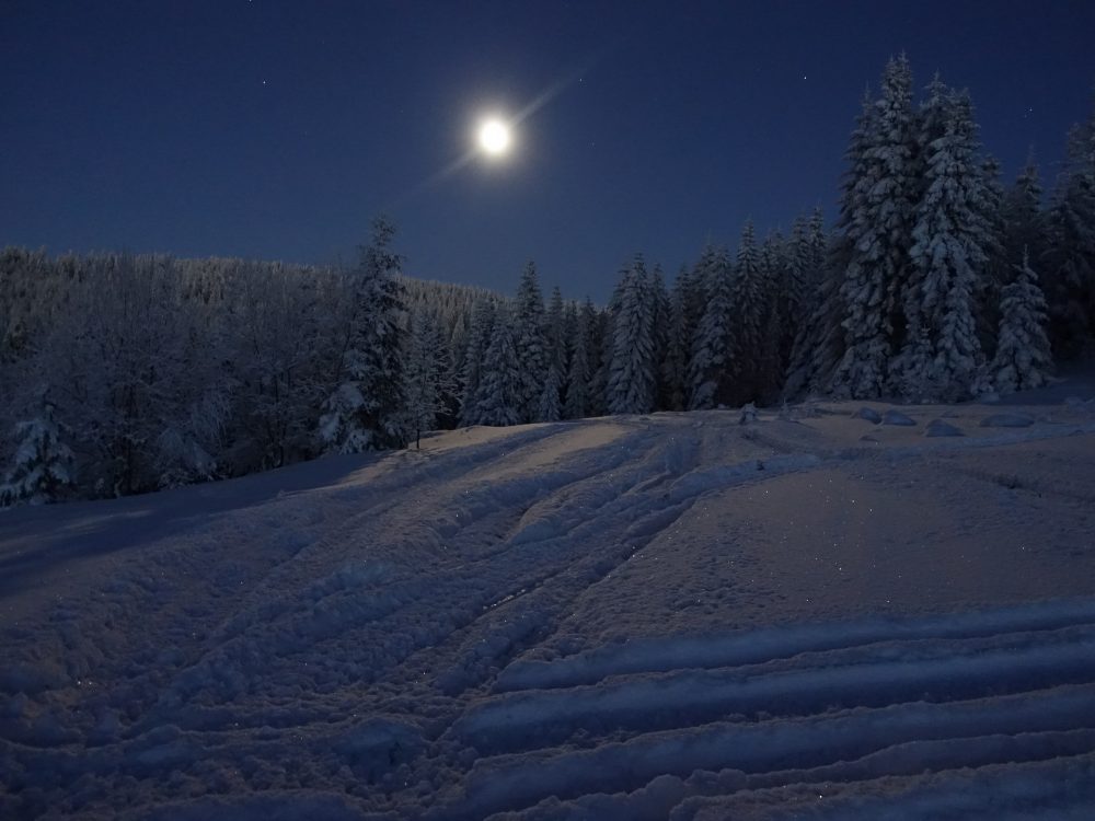 winter-1291479_1920
