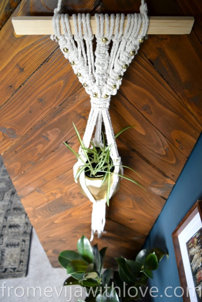 DIY macrame plant hanger and plant