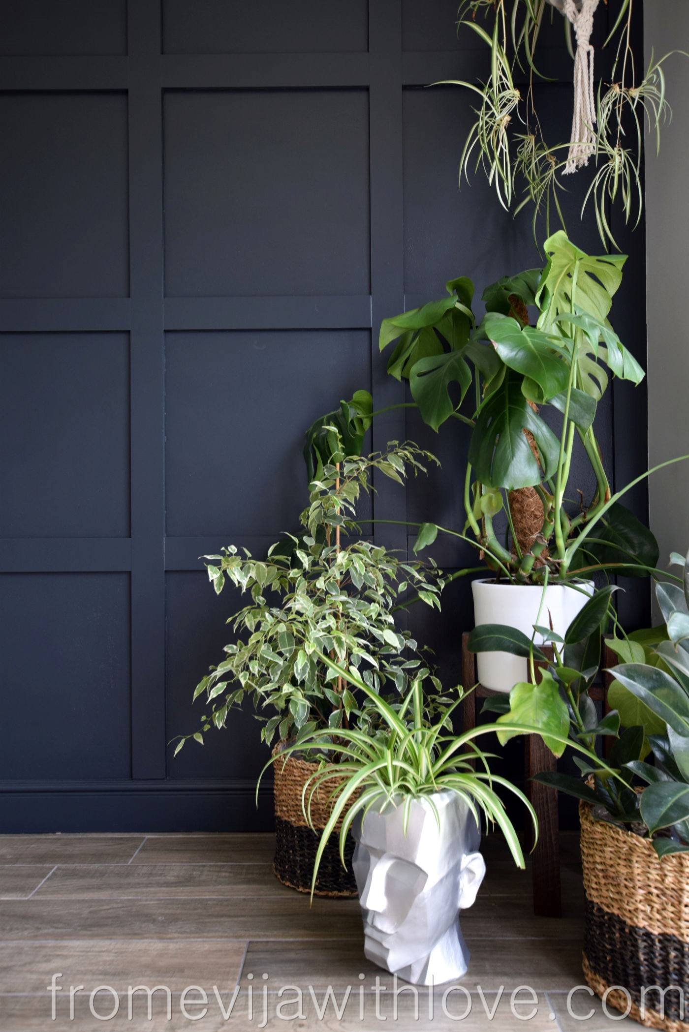 Beautiful Dark Grey Panelling and plants